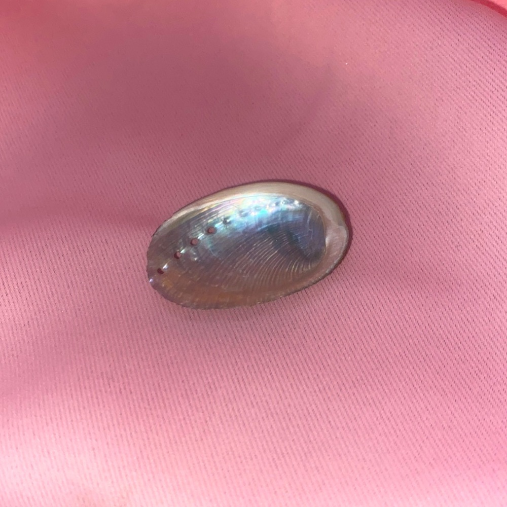 🌙BUNDLE ONLY🌙 Mini abalone shell
